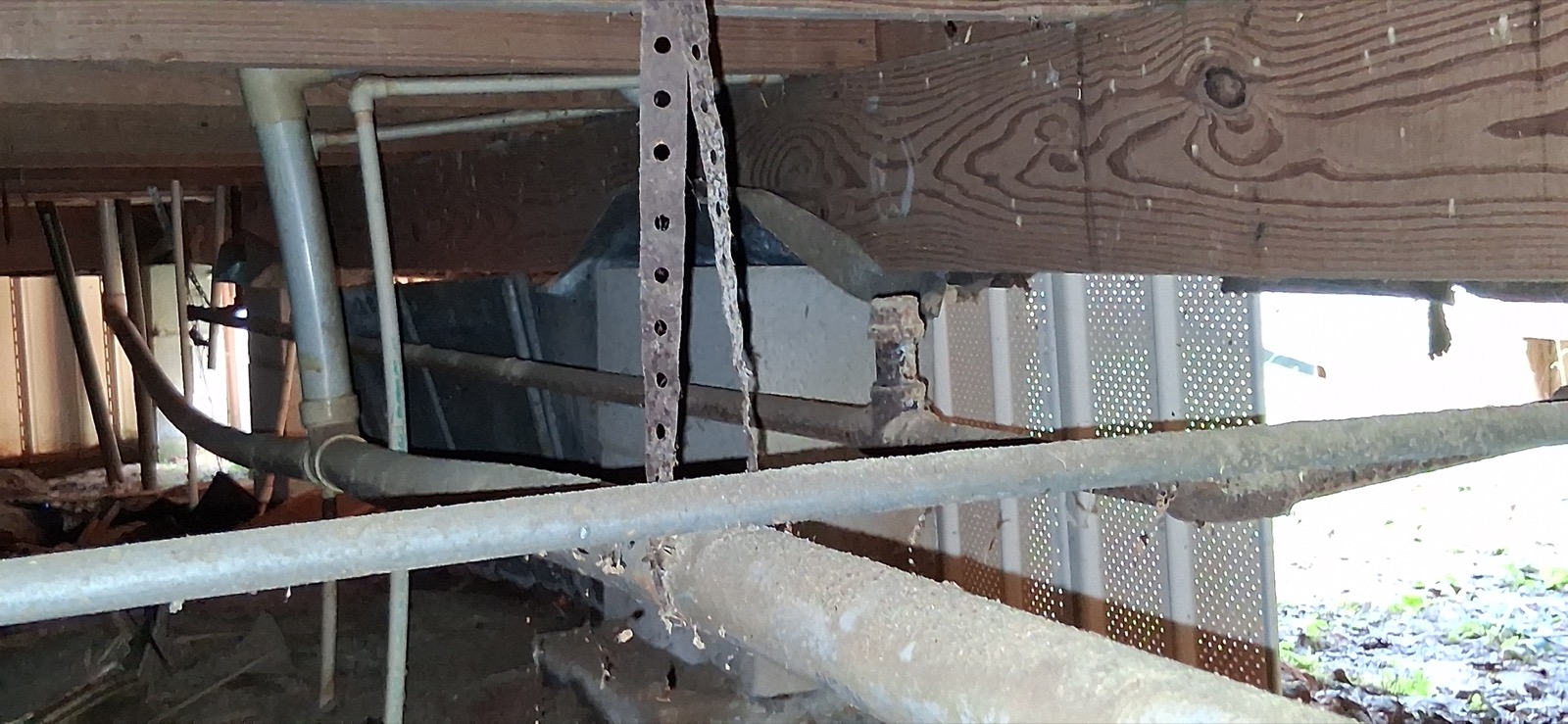 Crawlspace assessment